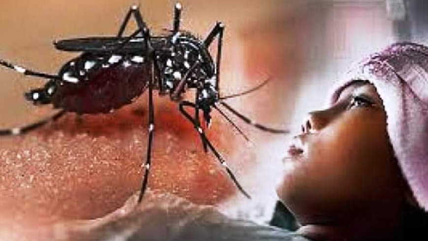 ilustrasi korban dbd