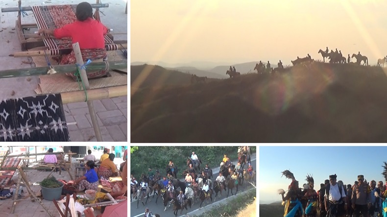 Humba Sandalwood Festival 2025 Festival Sumba