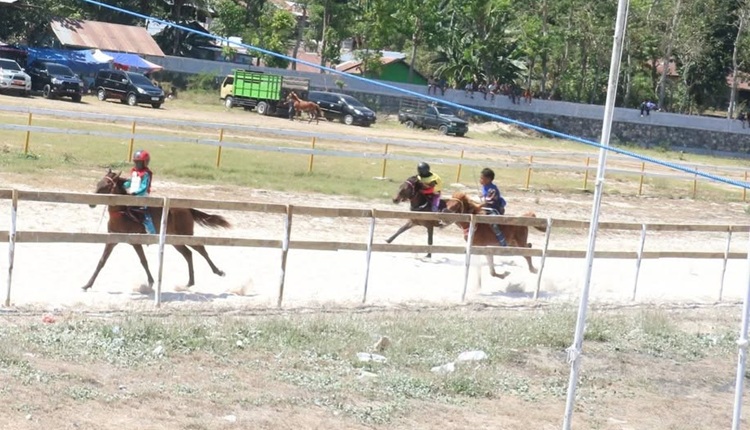 Pacuan kuda sumba