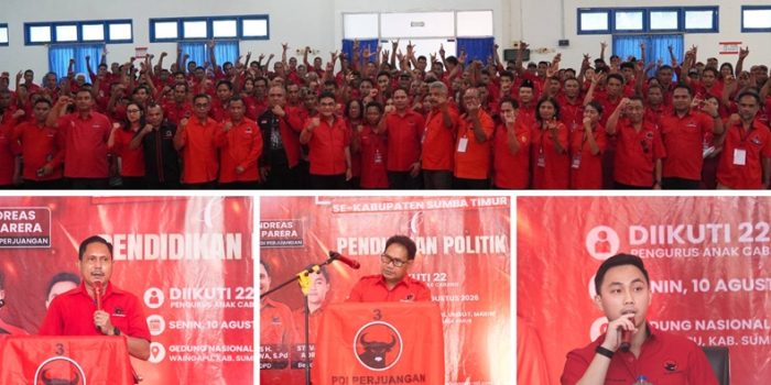 PDI Perjuangan