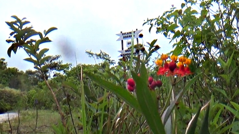 Desa Wanggameti